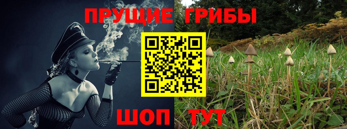 Галлюциногенные грибы ЛСД  Вход с VPN  хочу наркоту  Псилоцибиновые грибы Psilocybe  Осинники 